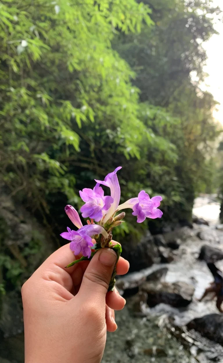 IMG_2467-scaled-1400x2280