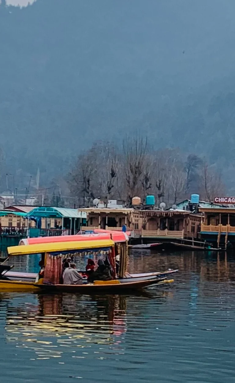 IMG_5149-scaled-884x1440